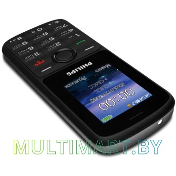 Мобильный телефон Philips Xenium E2101 (черный) картинка 3